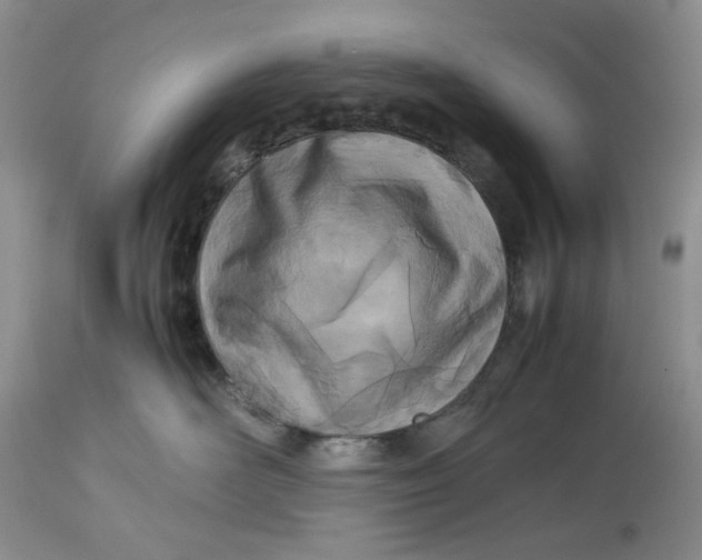 X0000114010526200910231818