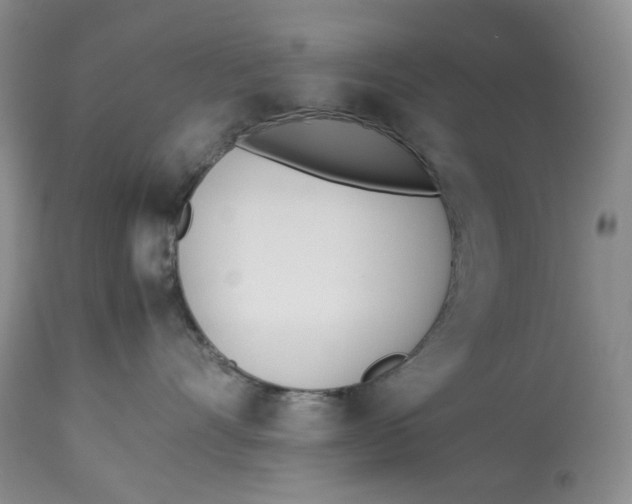 X0000114010528200910231818