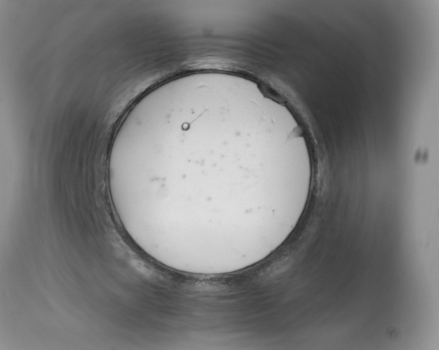 X0000114010529200910231817