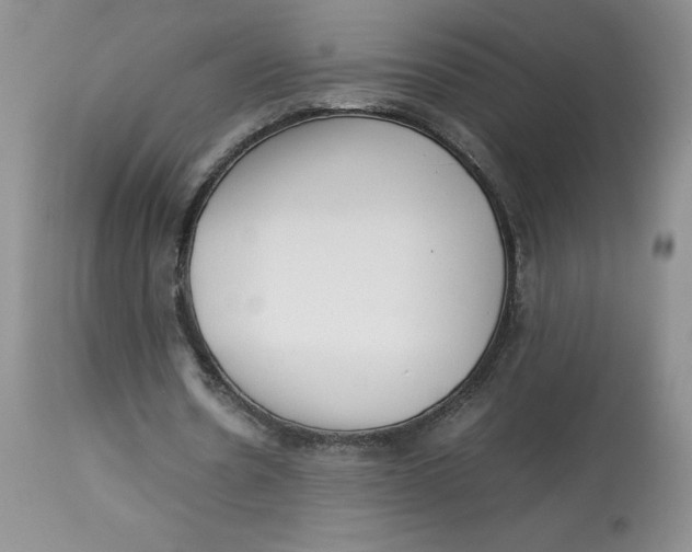 X0000114010530200910231817