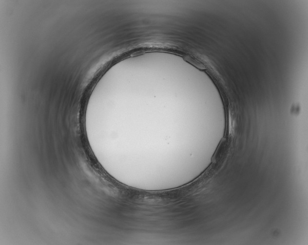 X0000114010531200910231817