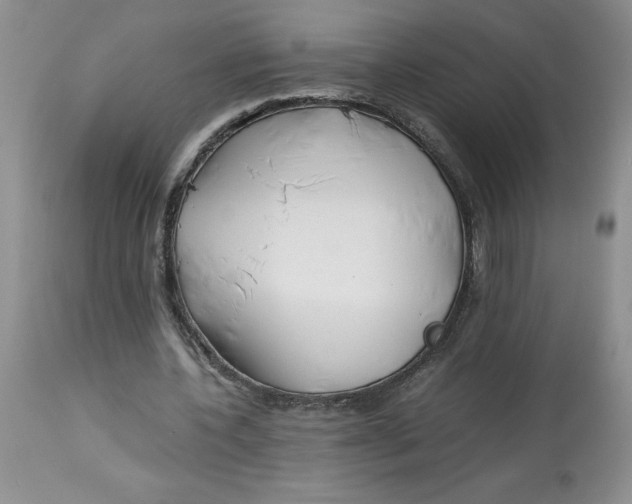 X0000114010532200910231817