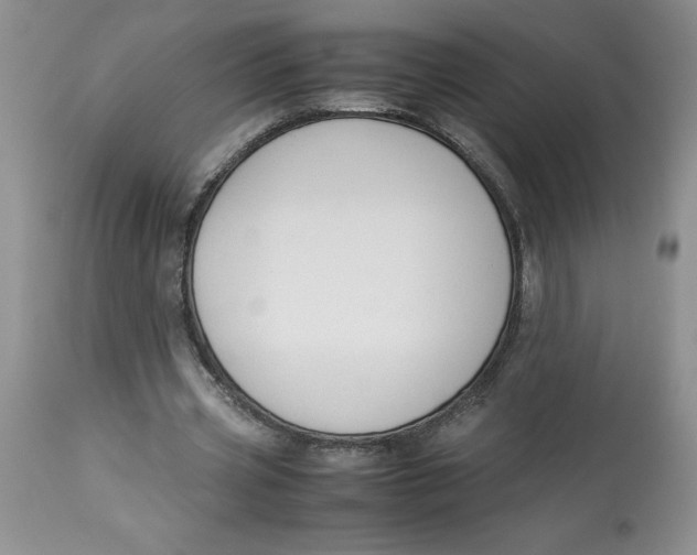 X0000114010533200910231817