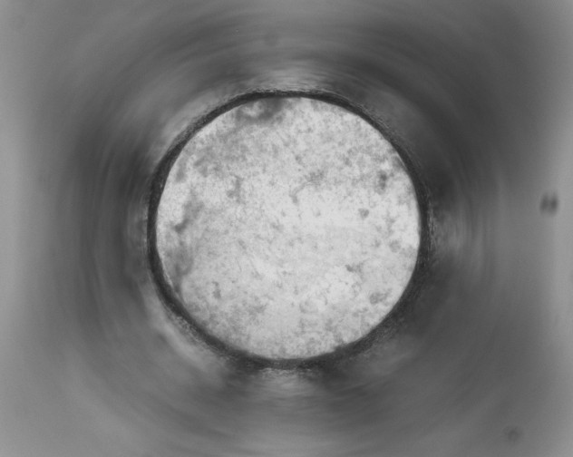 X0000114010534200910231817