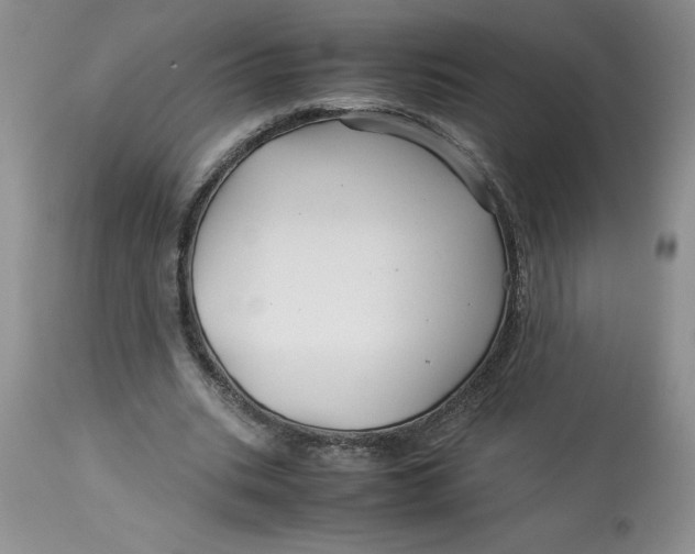 X0000114010535200910231817