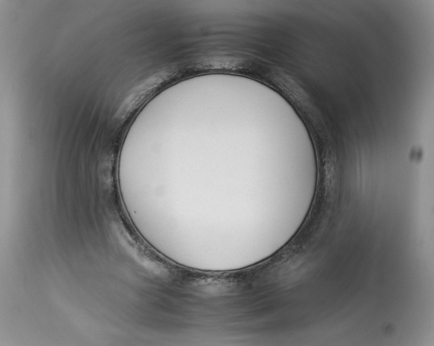 X0000114010537200910231817