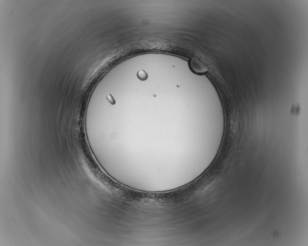 X0000114010538200910231817