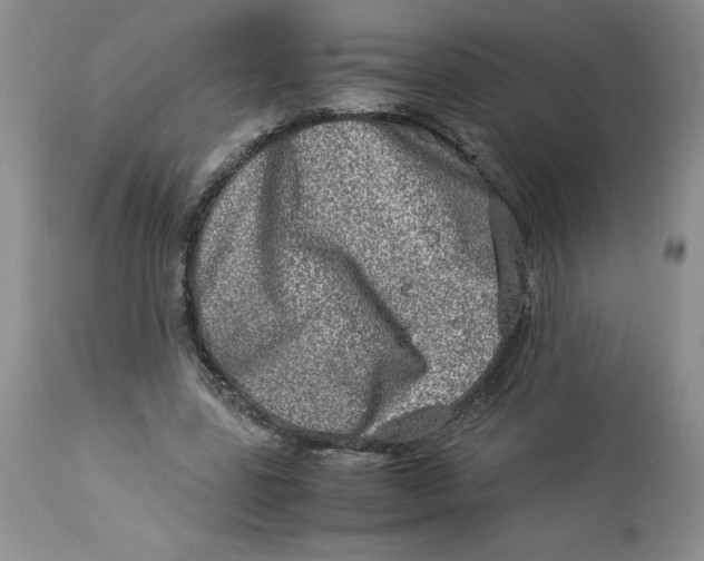 X0000114010539200910231817