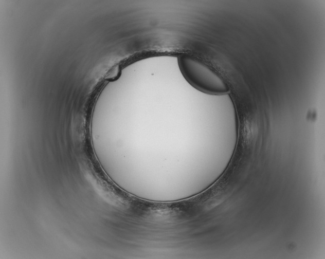 X0000114010540200910231817