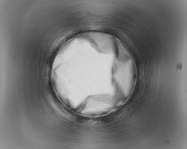 X0000114010542200910231817