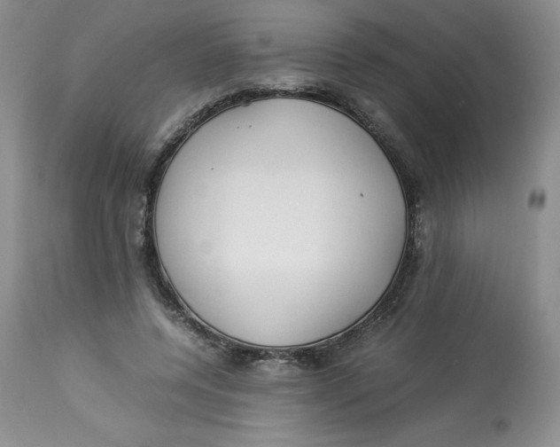 X0000114010544200910231817