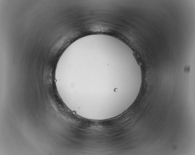 X0000114010547200910231817