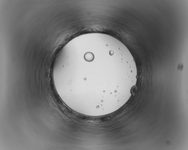 X0000114010548200910231817