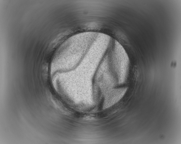 X0000114010550200910231817