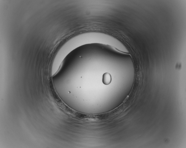 X0000114010552200910231817