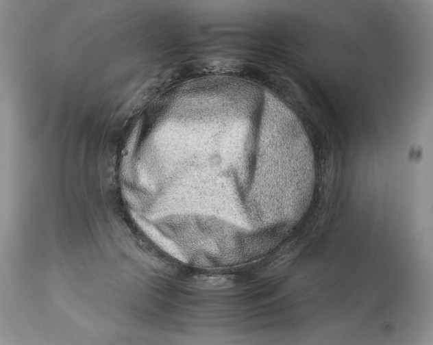 X0000114010553200910231817