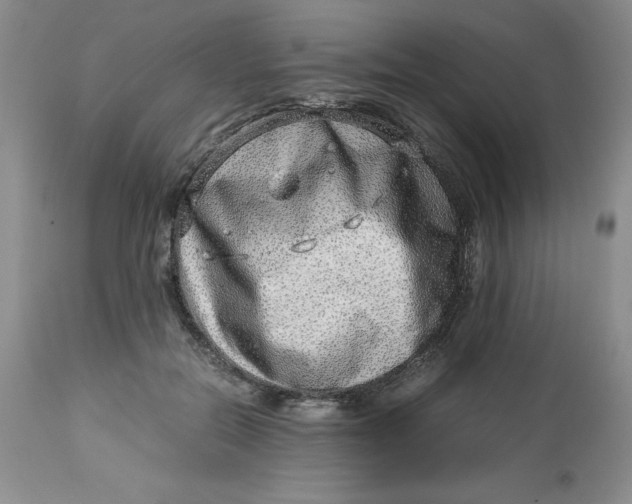 X0000114010554200910231817