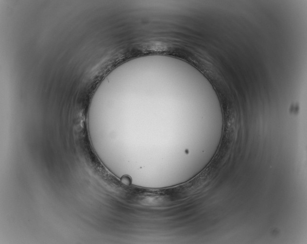 X0000114010555200910231817