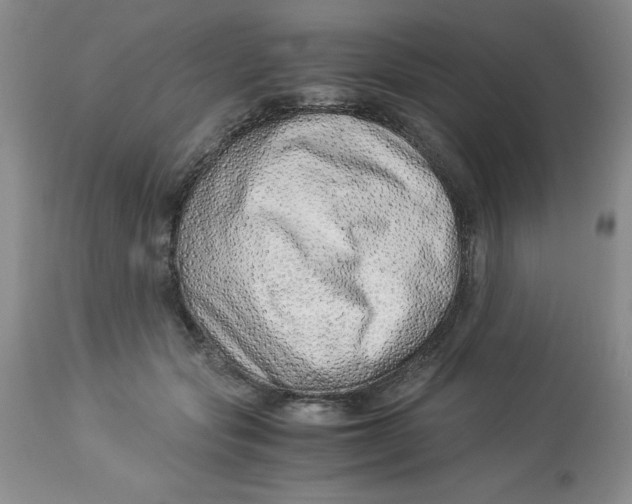 X0000114010557200910231817