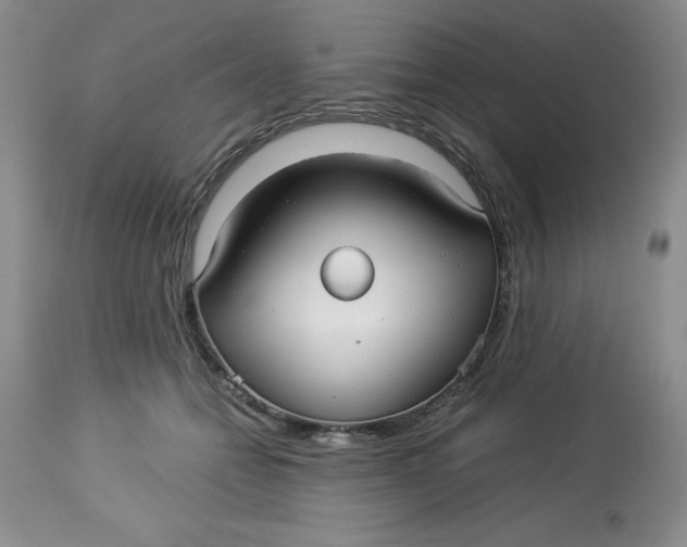 X0000114010558200910231817