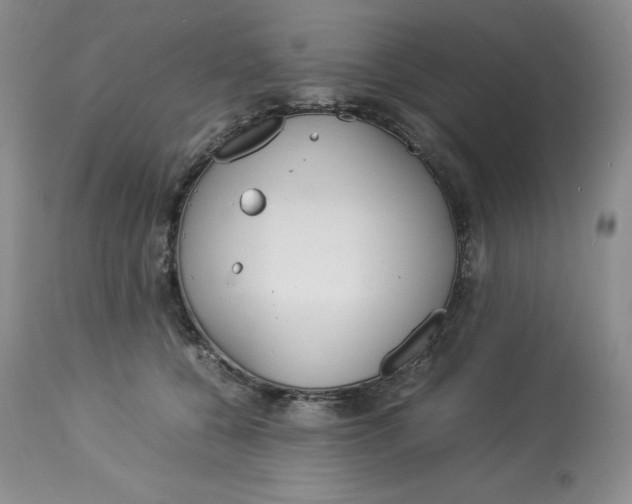 X0000114010560200910231817