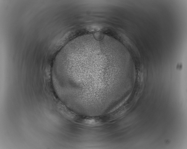 X0000114010561200910231817