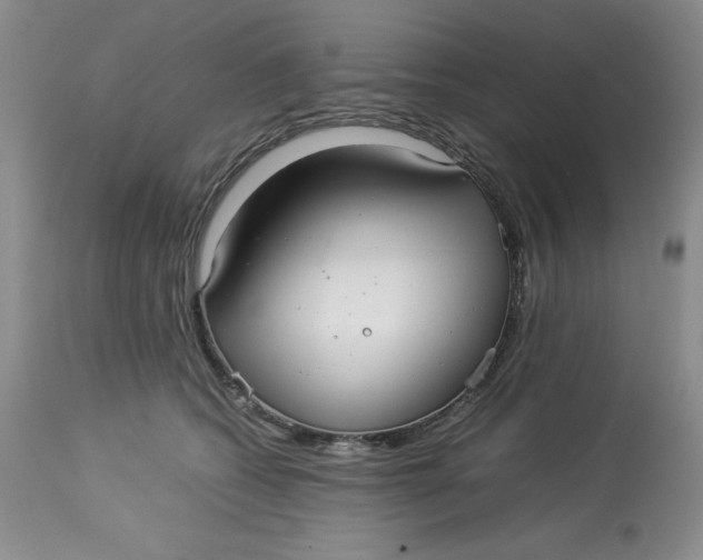 X0000114010562200910231817