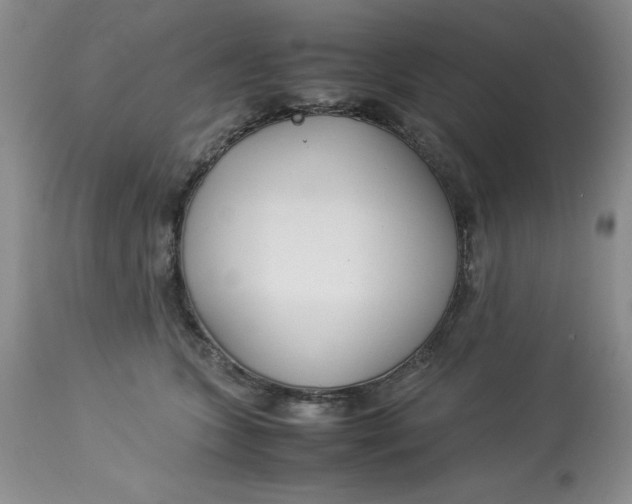 X0000114010563200910231817