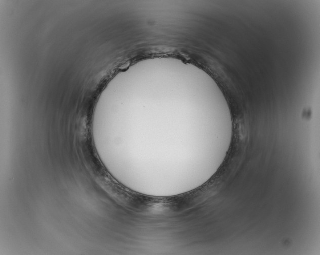 X0000114010564200910231817