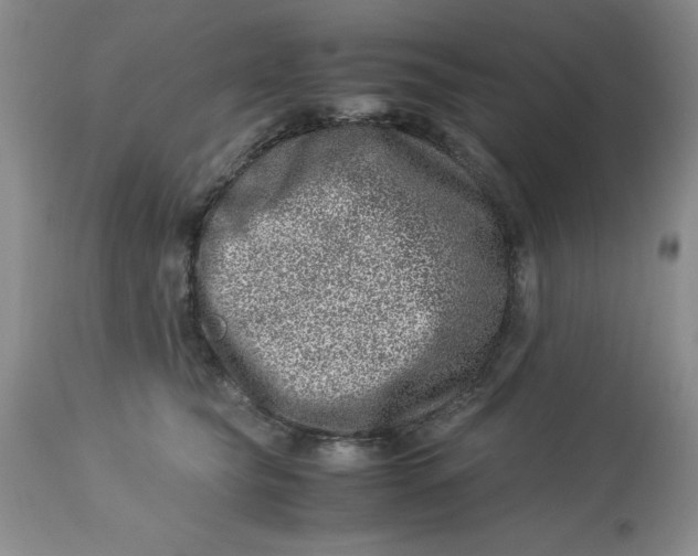 X0000114010565200910231817