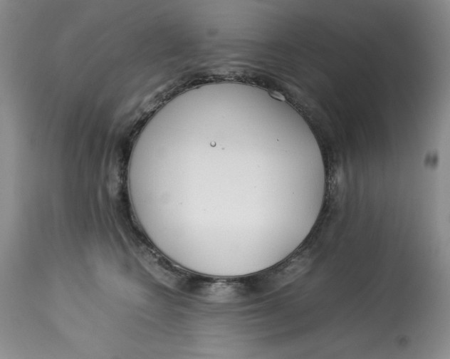 X0000114010566200910231818