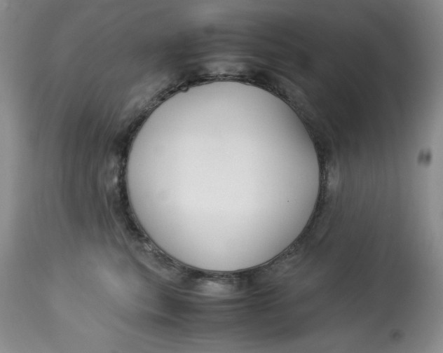 X0000114010567200910231818