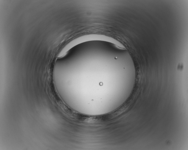 X0000114010568200910231818