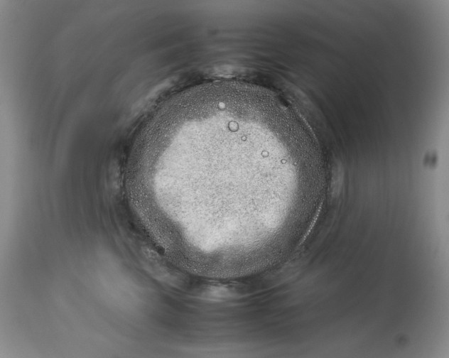 X0000114010569200910231818