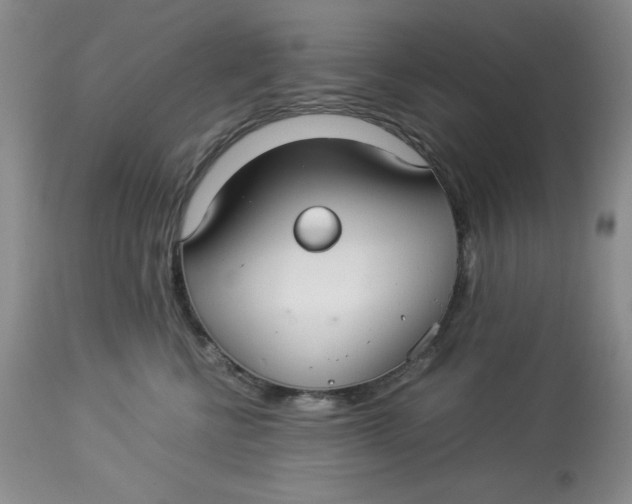 X0000114010570200910231818