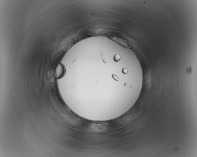 X0000114010571200910231818