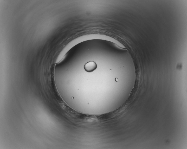 X0000114010572200910231818