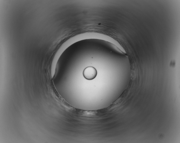 X0000114010573200910231818