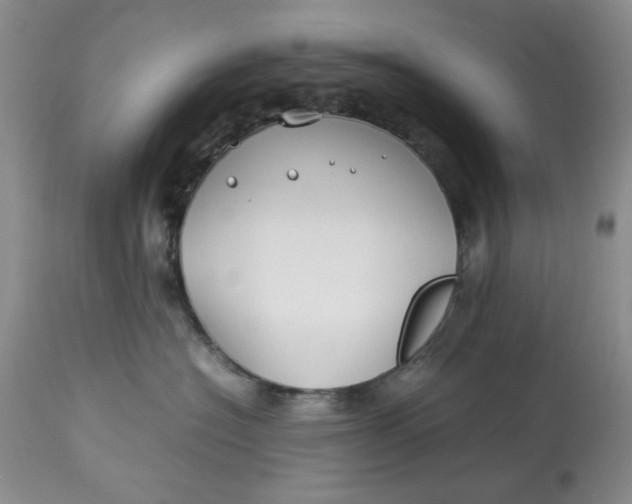 X0000114010574200910231818