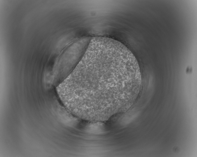 X0000114010576200910231818