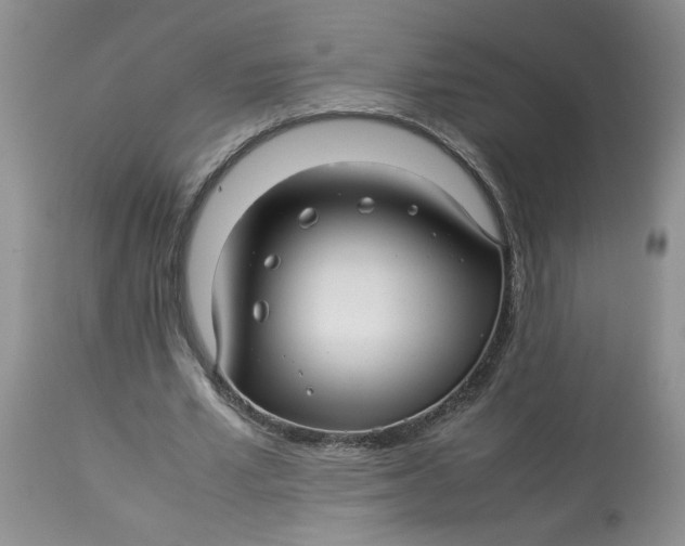 X0000114010581200910231817