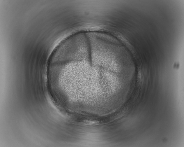 X0000114010582200910231817