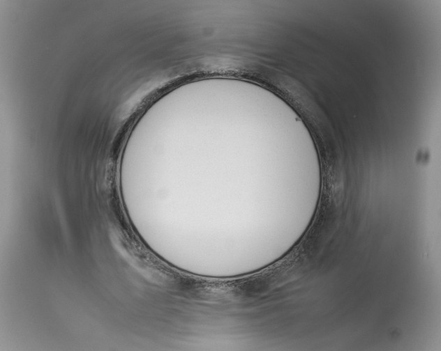 X0000114010583200910231817