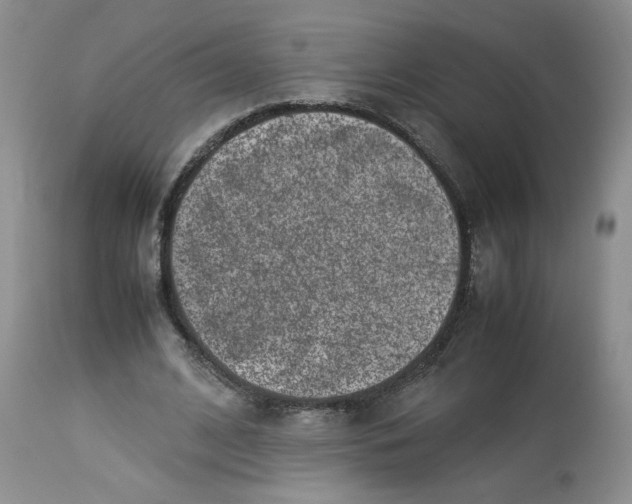 X0000114010584200910231817