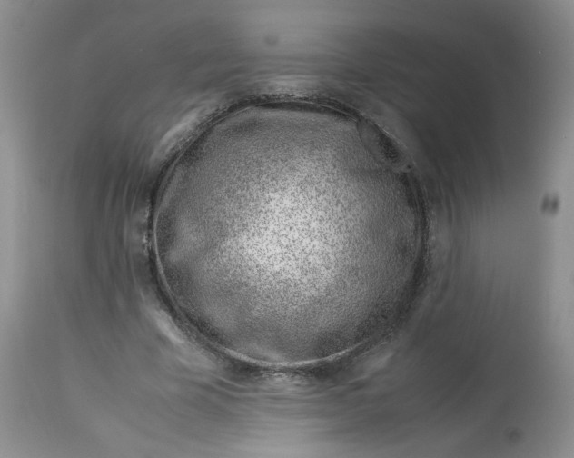 X0000114010585200910231817