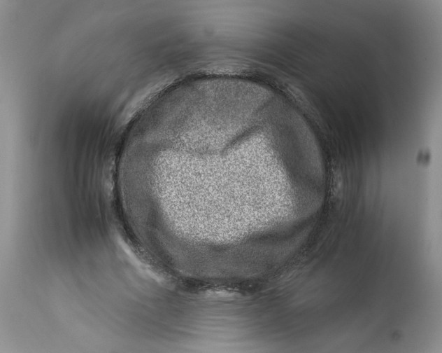 X0000114010586200910231817