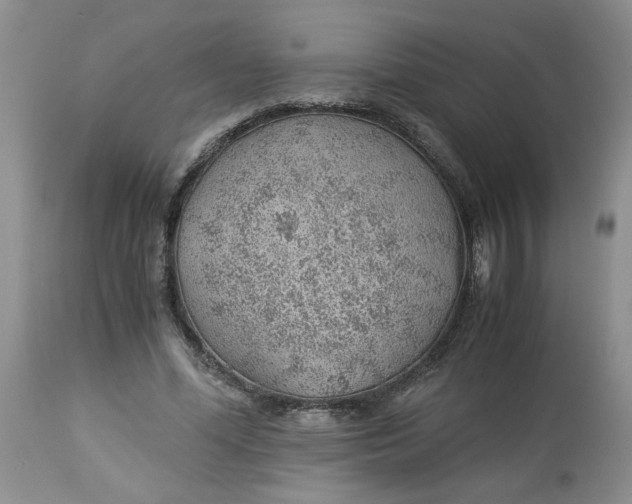 X0000114010588200910231817