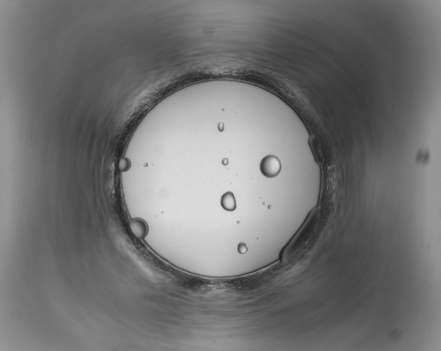 X0000114010589200910231817