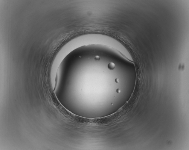 X0000114010593200910231817