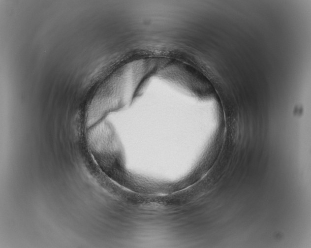 X0000114010594200910231817